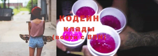 дживик Липки