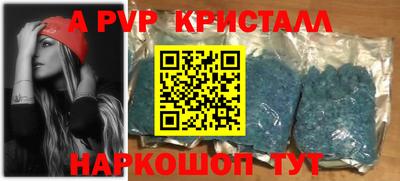 стаф Гатчина