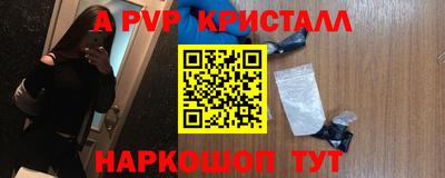 стаф Гатчина