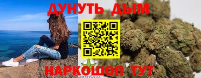 стаф Гатчина