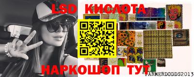стаф Гатчина