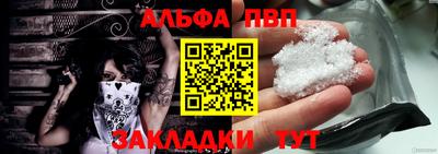 стаф Гатчина