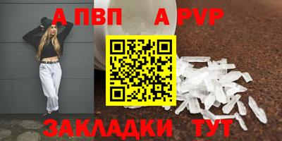 стаф Гатчина