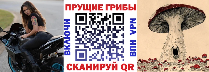 купить наркоту  KRAKEN ССЫЛКА  Галлюциногенные грибы мицелий  Тихорецк 