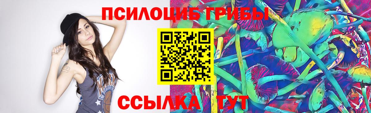 Галлюциногенные грибы Psilocybine cubensis  Вход с VPN  Тихорецк  Галлюциногенные грибы Psilocybe 